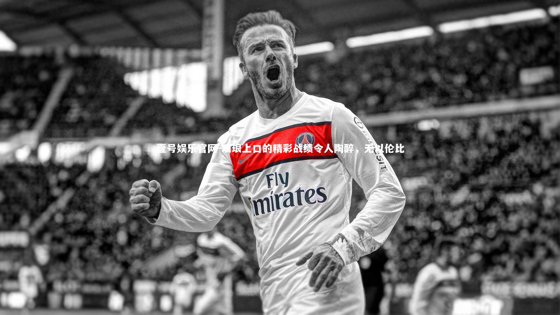 琅琅上口的精彩战绩令人陶醉,无以伦比